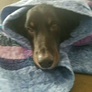 Meet your Posher, Mel